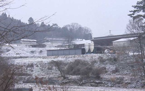 雪の降り積もる江草牧場