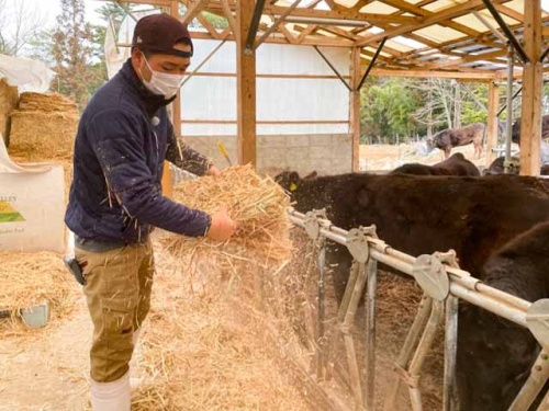 飼葉を補充する黒田さん