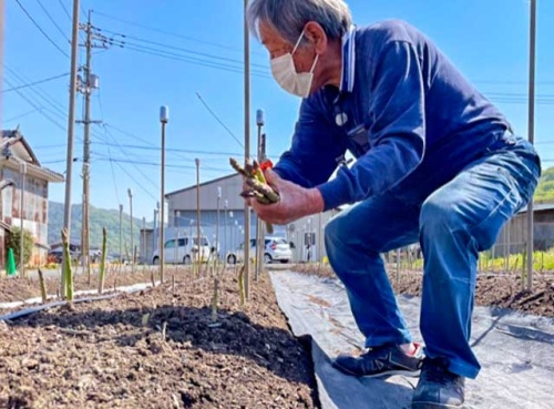 健康に畑仕事をする山邊さん