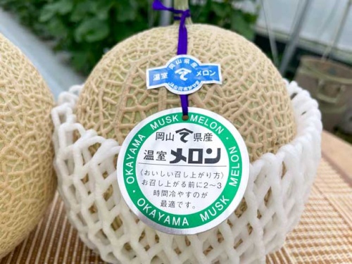 山手地区の美味しいメロン