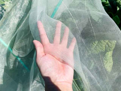 防虫と日焼けの効果があるネット