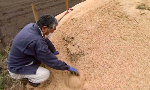 籾殻の山を掘る小阪さん