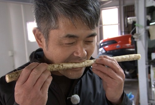 ゴボウをかじる三宅さん