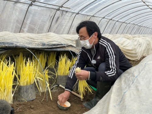 作業する伏見部会長