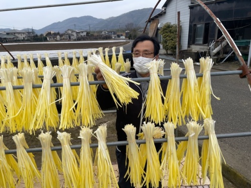黄色くなった黄ニラ