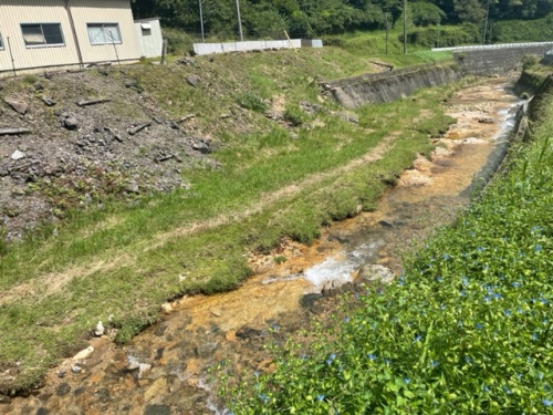 田んぼ近くの山から流れるきれいな水