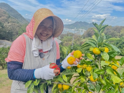 農産物紹介 JAグループ岡山 笑味（えみ）ちゃん天気予報 | RSK山陽放送