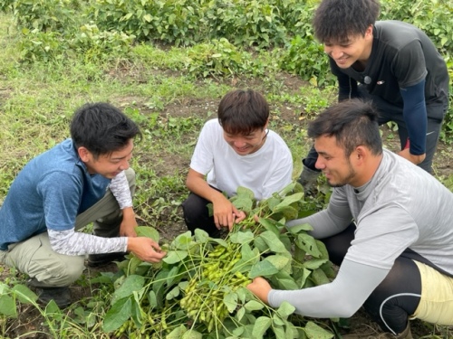 枝豆の出来を見るきしもと農園のみなさん