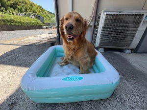 プール開き