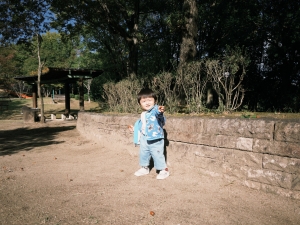 大きなどんぐり