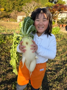 引っこ抜いたらあらビックリ！