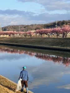 桜を楽しめる訳