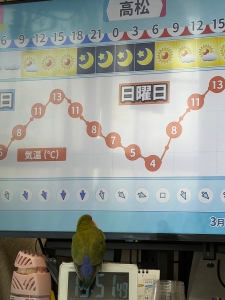 天気が気になるのかな？