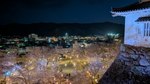 夜桜満開！鶴山公園