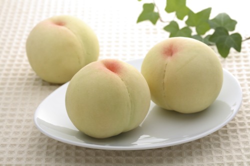 岡山県産 清水白桃 1.8kg(6～8玉)