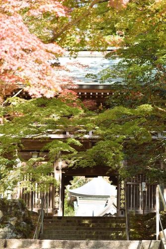 やっぱ紅葉はええなぁ… | 高松市 ジェネラル・ポチさん