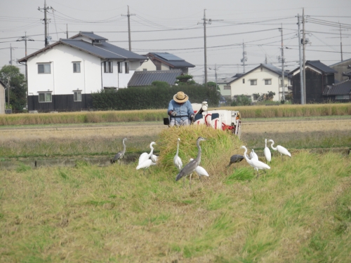 ジイジ、モテモテ♡ | 早島町 佐藤さん