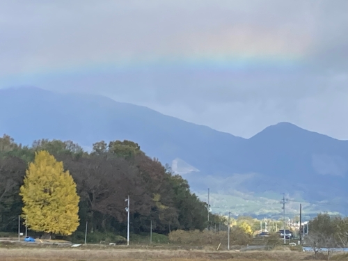 河原の大イチョウ | 勝央町　コムママさん