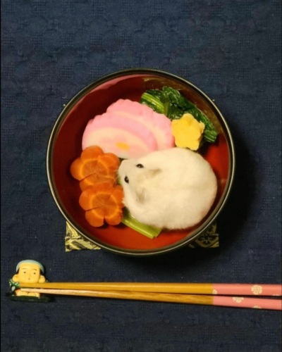 お雑煮？ | 高松市　ゆみみさん