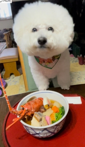 ビッケくんとお雑煮 | 岡山市　まやさん