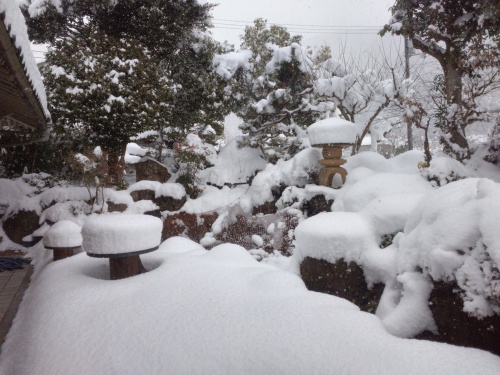 雪積もる | 奈義町　神野さん