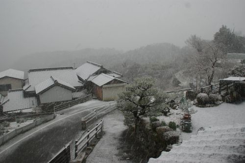 お彼岸とはほど遠い… | 岡山市　太田さん