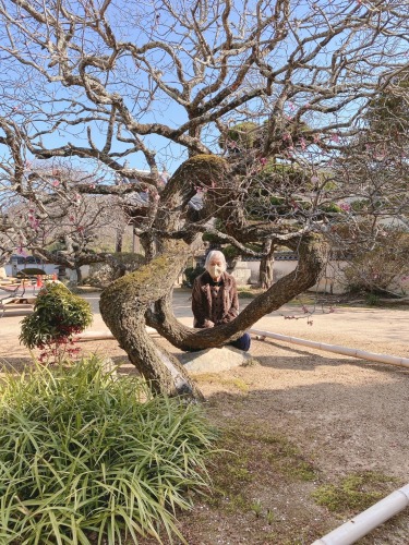 聖地になりそう | 井原市 さとちゃんさん
