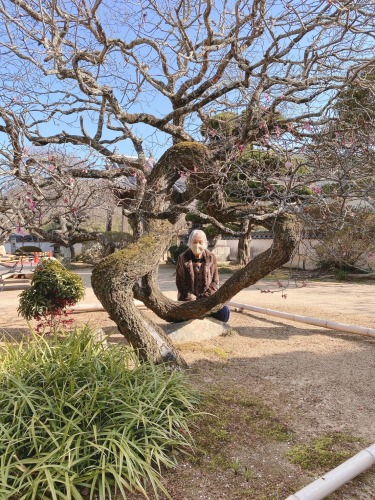 聖地になりそう | 井原市　さとちゃんさん