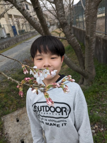 桜が咲きました | 岡山市　ままーんさん