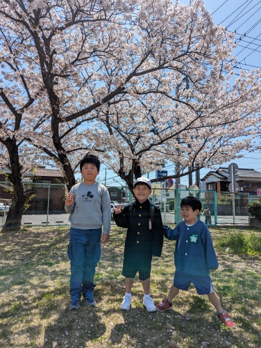 入学式 | 倉敷市 だんご3兄弟さん