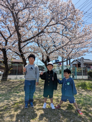 入学式 | 倉敷市　だんご3兄弟さん