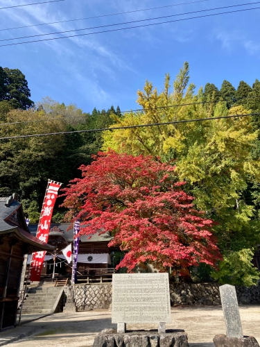 紅葉 | 真庭市 iosuさん