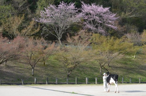 春舞台 | 瀬戸内市 高橋さん