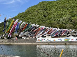 小田川のこいのぼり | 井原市 みこさん