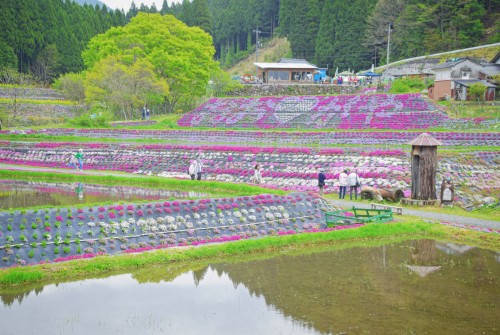 しばざくら公園 | 岡山市 河西さん