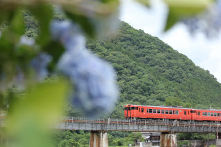 津山線と紫陽花 | 総社市 サイダー’81さん