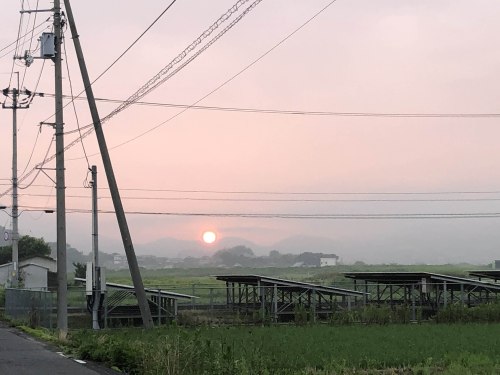 ソーラーパネルもお目覚めかな? | 三豊市 MKさん