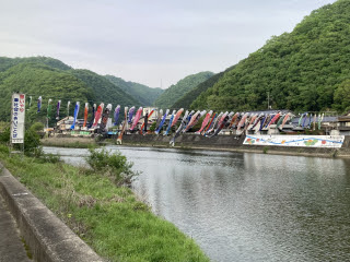 小田川の鯉のぼり | 井原市 ひょうたんからこまさん