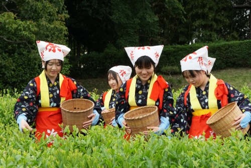 夏も近づく♪ | 岡山市 横山さん
