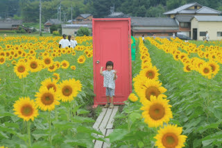 どこでもドア | 高松市 ハッピーさん