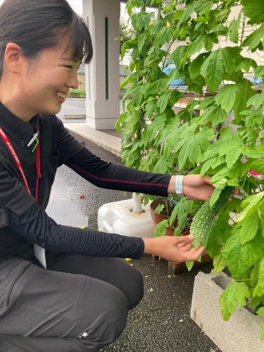 みどりのカーテン | 津山市 近藤さん