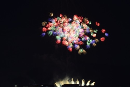 夜空にお花畑が…! | 高松市 ジェネラル・ポチさん
