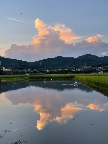 長閑な夕飯のひととき! | 総社市 ななさん