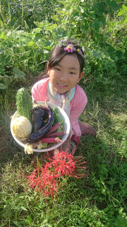 夏野菜と彼岸花 | 岡山市 くまごろーさん