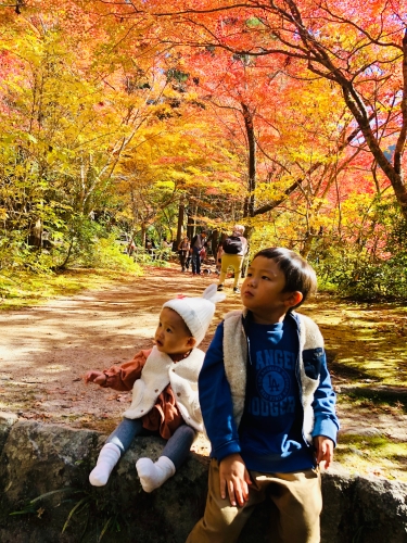 初めての紅葉 | 津山市 ごんごんさん
