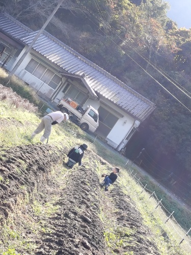 銀沫収穫 | 赤磐市 かーかんさん