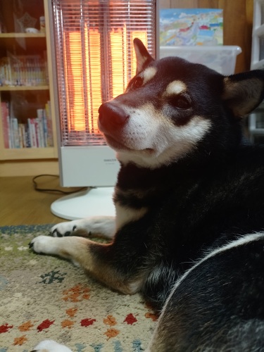 あったかいんだからぁ♪ | 赤磐市 水川さん