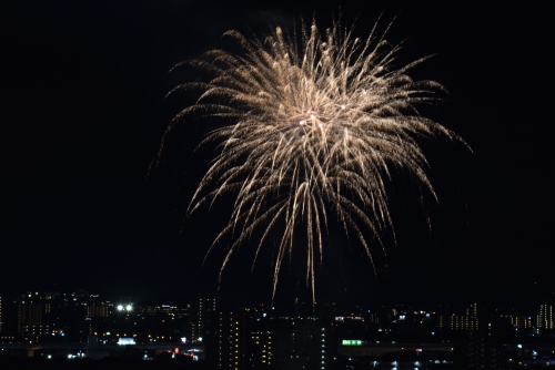 都会の夜空に咲く大輪の花 | 高松市 ジェネラル・ポチさん
