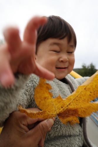 紅葉 | 岡山市 ひとみさん