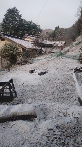 初雪 | 高梁市　常松さん